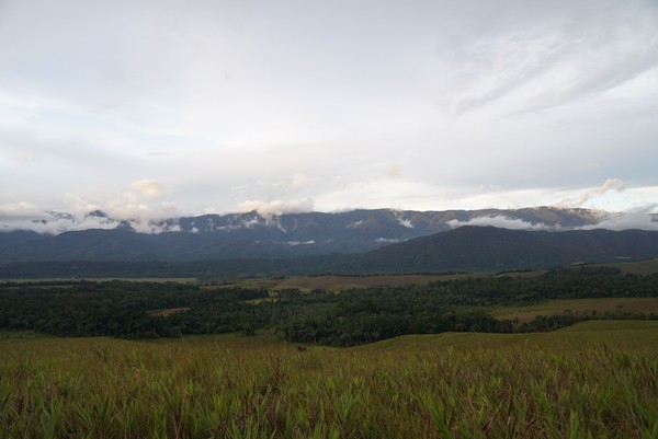 Bukit cantik yang memiliki pemandangan eksotis kerap jadi tempat wisata menarik. Kabupaten Tambrauw di Papua Barat pun punya bukit cantik bernama Sontiri. (Bonauli/detikcom)
