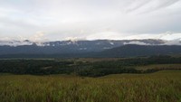 Bukit cantik yang memiliki pemandangan eksotis kerap jadi tempat wisata menarik. Kabupaten Tambrauw di Papua Barat pun punya bukit cantik bernama Sontiri. (Bonauli/detikcom)