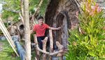 Foto: Rumah Hobbit di Ciamis, Bisa Buat Pernikahan