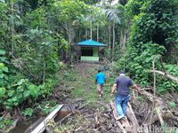 Saksi Bisu Perang Dunia II di Tengah Hutan Papua