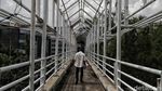 Duh, JPO di ITC Mangga Dua Rusak dan Tak Beratap