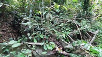 Meskipun masih tahap pengerjaan, namun wisatawan sudah bisa datang dan berkunjung ke sini. (Bonauli/detikcom)