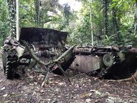 Saksi Bisu Perang Dunia II di Tengah Hutan Papua