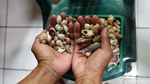Kerajinan Kerang Asal Pulau Seribu Ini Unik dan Langka Lho!