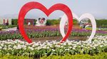 Foto: Biar Senang, Ajak Mama ke Kebun Tulip Ini