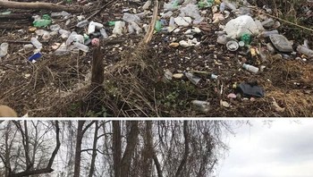 Pemandangan di sungai Potomac di Washington DC sebelum dan sesudah bersih dari sampah. Foto: Bored Panda