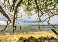 Pantai-pantai di Taman Nasional Alas Purwoi