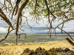 Infrastruktur Diperbaiki, Wisatawan ke TN Alas Purwo Melonjak