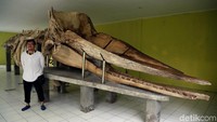 Di dekat Jembatan Cinta ada pula sebuah ruangan yang berisi tulang belulang makhluk purba.