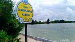 Tidung Kecil Diincar Jadi Destinasi Wisata Kucing