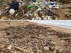 Inspiratif! Tantangan #Trashtag Ajak Bersihkan Lingkungan