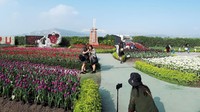 Traveler yang datang pun tak melewatkan kesempatan foto-foto (Kurnia/detikcom)