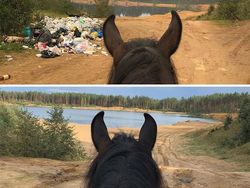 Inspiratif! Tantangan #Trashtag Ajak Bersihkan Lingkungan