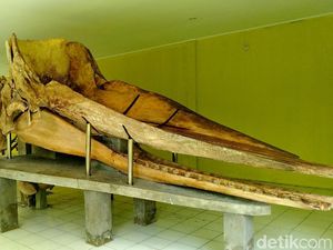 Terumbu Karang dan Kerangka Paus 13 Meter di Tidung Kecil