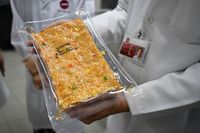Katering Makanan Pesawat di Singapura Ciptakan Makanan Awet hingga 2 Tahun