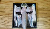 Sering Dikonsumsi di Jepang dan China, Ini Bagian Ikan Fugu yang Beracun
