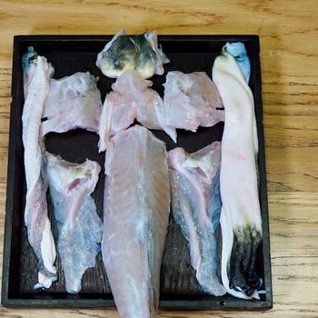 Ikan fugu