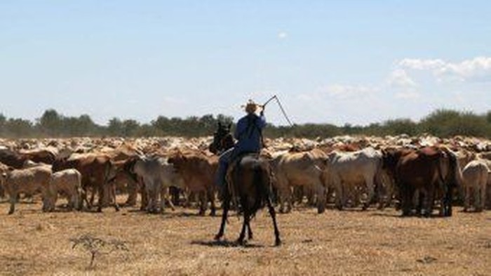 Australia Perluas Aturan Visa Pekerja Terampil