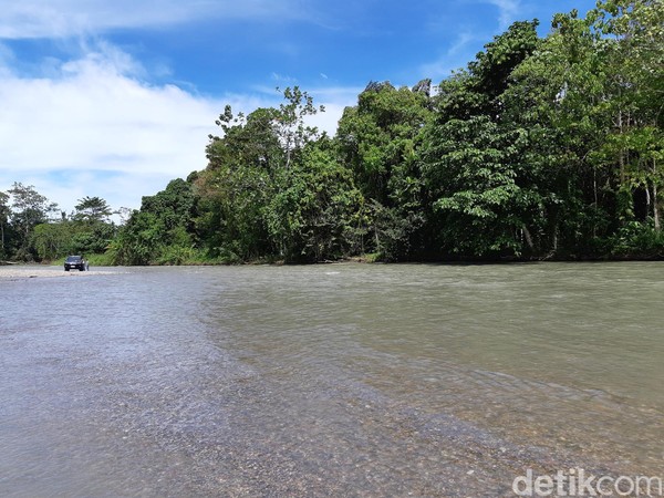 Tambrauw punya banyak destinasi menarik, salah satunya Kali Jodoh. Ini sebuah sungai panjang yang berada di Distrik Sausapor. (Bonauli/detikcom)
