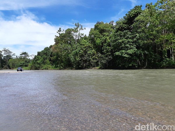 Tambrauw punya banyak destinasi menarik, salah satunya Kali Jodoh. Ini sebuah sungai panjang yang berada di Distrik Sausapor. (Bonauli/detikcom) Tambrauw punya banyak destinasi menarik, salah satunya Kali Jodoh. Ini sebuah sungai panjang yang berada di Distrik Sausapor. (Bonauli/detikcom)