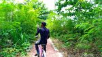 Tidung Kecil Diincar Jadi Destinasi Wisata Kucing