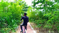Kondisi ekosistem di setiap pulau dinilai memiliki kerentanan yang berbeda. Kehadiran spesies baru seperti kucing dikhawatirkan akan mempengaruhi rantai makanan, mengancam spesies burung, dan menimbulkan dampak berantai terhadap habitat yang telah terbentuk alami. (Danu Damarjati/detikcom)