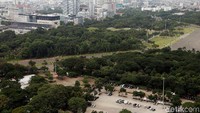 Rindangnya pepohonan juga membuat udara di taman Monas menjadi terasa sejuk.