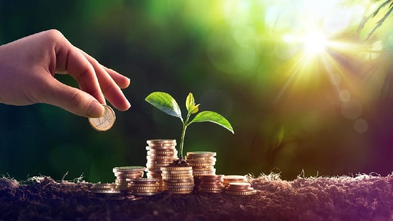 Cara Tepat Menyimpan Dana Darurat agar Keuangan Keluarga Aman /Foto: istock Cara Tepat Menyimpan Dana Darurat agar Keuangan Keluarga Aman /Foto: istock