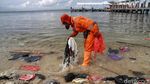 Potret Bali Baru Indonesia yang Terancam Sampah Plastik