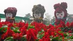 Foto: Biar Senang, Ajak Mama ke Kebun Tulip Ini