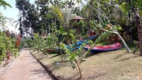  Suasana di Wulenpari sangat asri dan hijau. Bikin betah siapapun yang datang ke sini. Wulenpari sendiri artinya untaian padi. (Pradito Rida Pertana/detikcom)