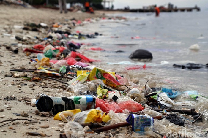 Pemakaian sampah plastik yang sekali pakai dapat mengancam kehidupan ekosistem laut di Pulau Tidung. Petugas Sudin DLH pun berjibaku membersihkan sampah di sana.