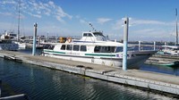 Area marina yacht yang menjadi titik awal dan akhir wisata PengFu Sightseeing Yacht (Kurnia/detikcom)