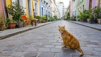 Inilah Rue Cremieux di Paris, sebuah gang pemukiman penduduk yang punya desain cantik nan instagrammable (iStock)