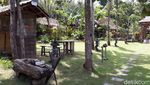 Foto: Lelah di Kota, Saatnya Kembali ke Desa di Gunungkidul