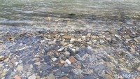 Kali Jodoh memiliki air yang segar dan tak terlalu deras. Saat kemarau, akan banyak ikan di sungai ini. Sehingga banyak masyarakat berkumpul dan bakar ikan. (Bonauli/detikcom)
