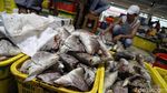 Penampakan Suasana Pasar Ikan Modern Muara Baru