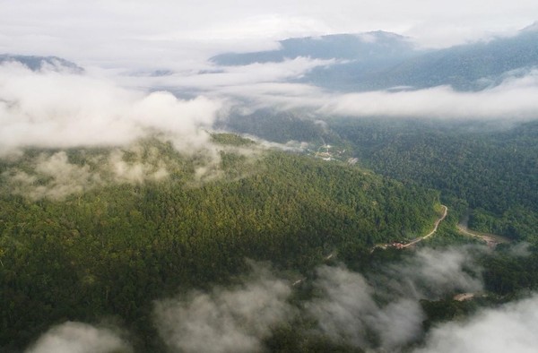 Hutan konservasi yang luas menyambut wisatawan di Kabupaten Tambrauw, Papua Barat. Melihat cendrawasih di tanah aslinya adalah hal yang tak boleh dilewatkan. (dok Kementerian Pariwisata) Hutan konservasi yang luas menyambut wisatawan di Kabupaten Tambrauw, Papua Barat. Melihat cendrawasih di tanah aslinya adalah hal yang tak boleh dilewatkan. (dok Kementerian Pariwisata)