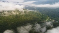 Hutan konservasi yang luas menyambut wisatawan di Kabupaten Tambrauw, Papua Barat. Melihat cendrawasih di tanah aslinya adalah hal yang tak boleh dilewatkan. (dok Kementerian Pariwisata)