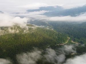 Mau Liburan ke Tambrauw? Ini Caranya