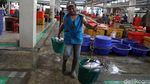 Keren dan Bersih! Pasar Ikan Modern Muara Baru yang Diresmikan Jokowi