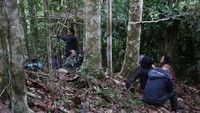 Di titik persembunyian, traveler diminta tenang dan tidak bersuara. Perlahan, suara kicauan burung akan terdengar bersahutan. (Aria Sankhyaadi/Istimewa)
