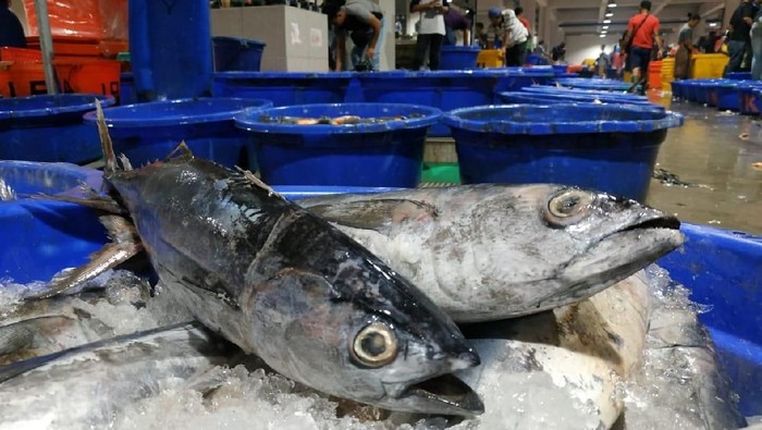 Presiden Jokowi meresmikan pasar ikan modern Muara Baru yang dikelola Perum Perindo, Rabu malam (13/3). Yuk intip seperti apa sih pasar yang  dibangun ala Tsukiji itu.