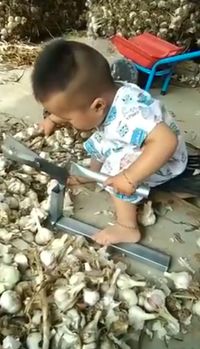 Sering Bantu Orang Tuanya, Dua Bocah Cilik Ini Jago Potong Akar Bawang