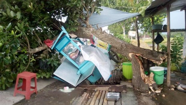 Puting Beliung Terjang Lombok Barat, 90 Rumah Warga Rusak