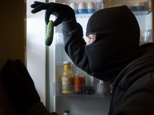 Pria Ini Bobol Apartemen Orang untuk Memasak Tortilla dan Makan Sup