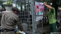 APK berbagai ukuran ditertibkan petugas.