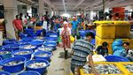 Keren dan Bersih! Pasar Ikan Modern Muara Baru yang Diresmikan Jokowi