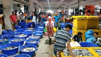 PIM mulai dibangun pada Juli 2016 dan sejak awal 2019 sudah banyak pedagang ikan yang menempati kios-kios ini. Total ada lebih dari 800 kios yang ditempati pedagang untuk menjajakan aneka seafood segar tangkapan nelayan.  Foto: Perum Perindo