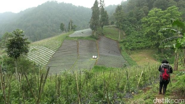 Marak Alih Fungsi Lahan, Subang Terancam Bencana